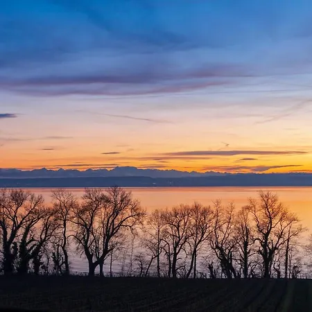 Rosenhof Apartman Stetten